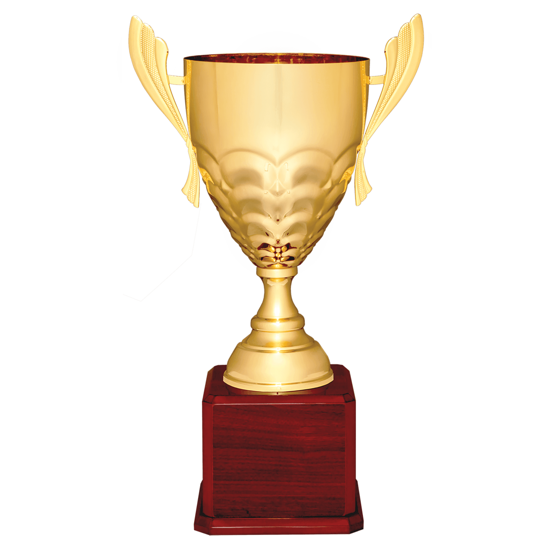 Metal Cup Trophy on Rosewood Royal Piano Finish Base - ACU21