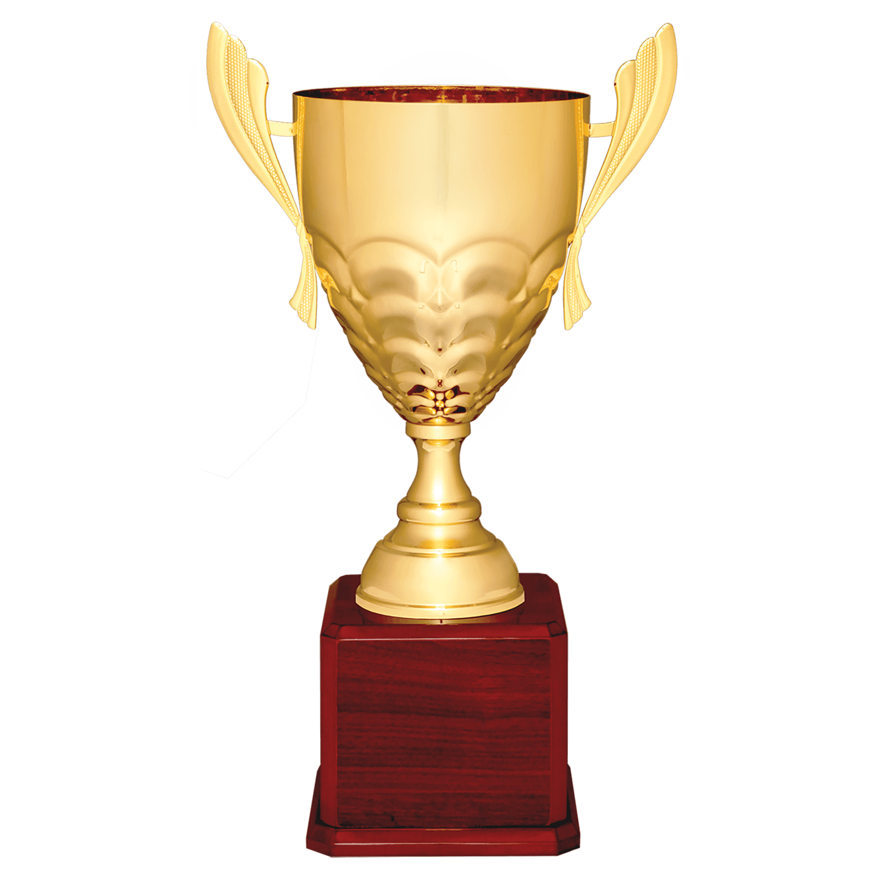 Metal Cup Trophy on Rosewood Royal Piano Finish Base - ACU21