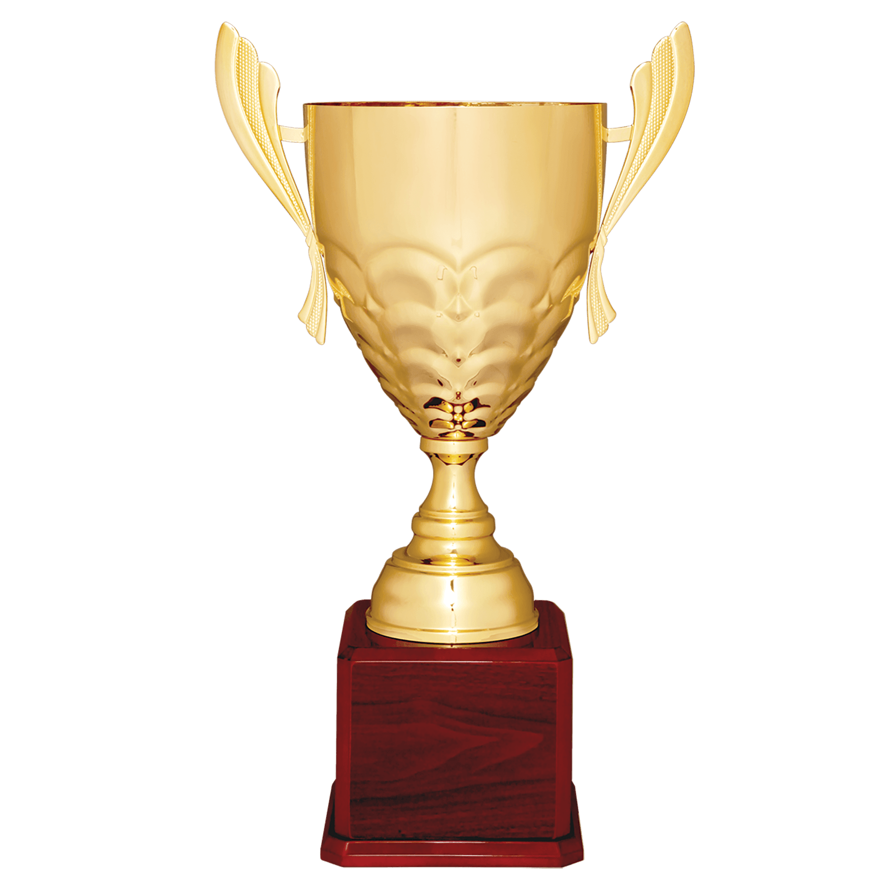 Metal Cup Trophy on Rosewood Royal Piano Finish Base - ACU21