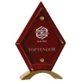 8.5" Diamond Rosewood Piano Finish Floating Acrylic Standup