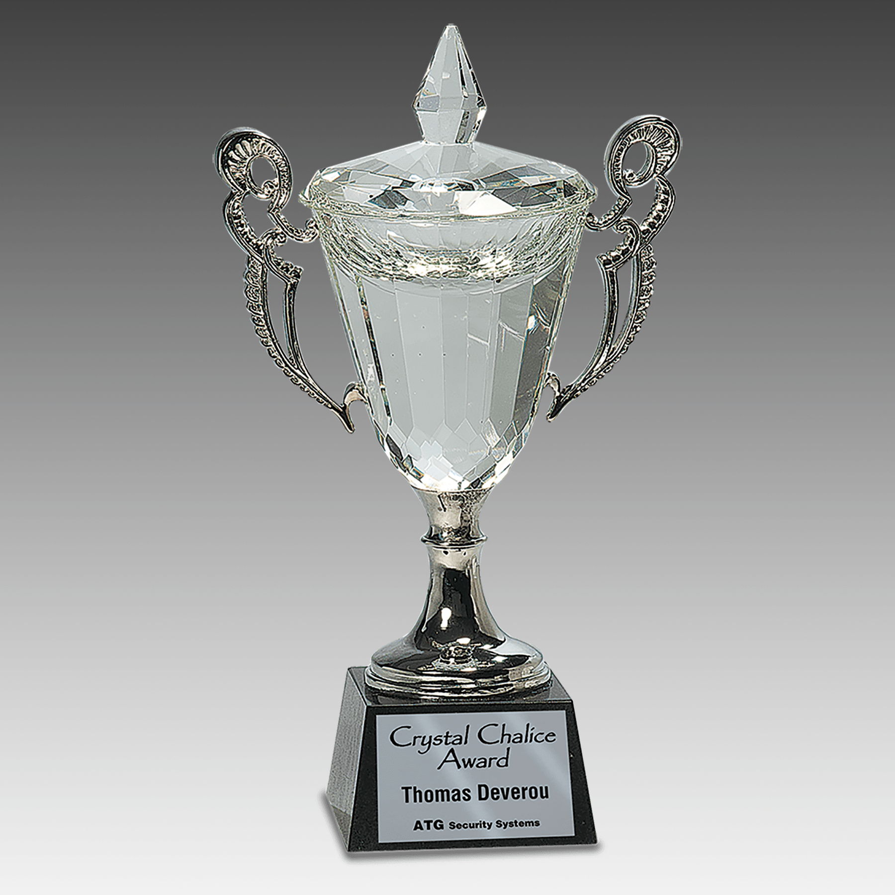 11.25" Crystal Cup with Silver Handles and Stem