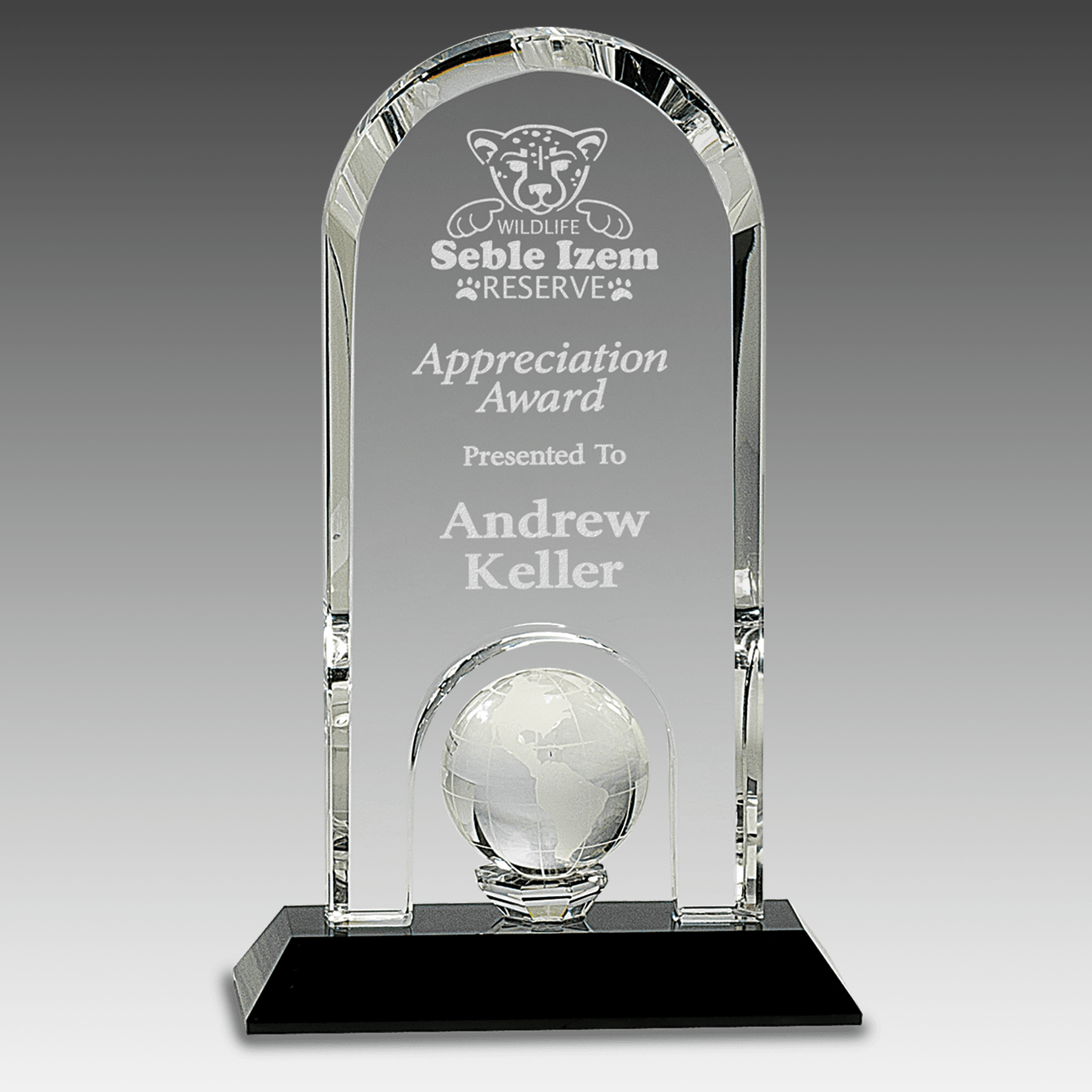8.75" Clear Crystal Dome w/Inset Globe on Black Base