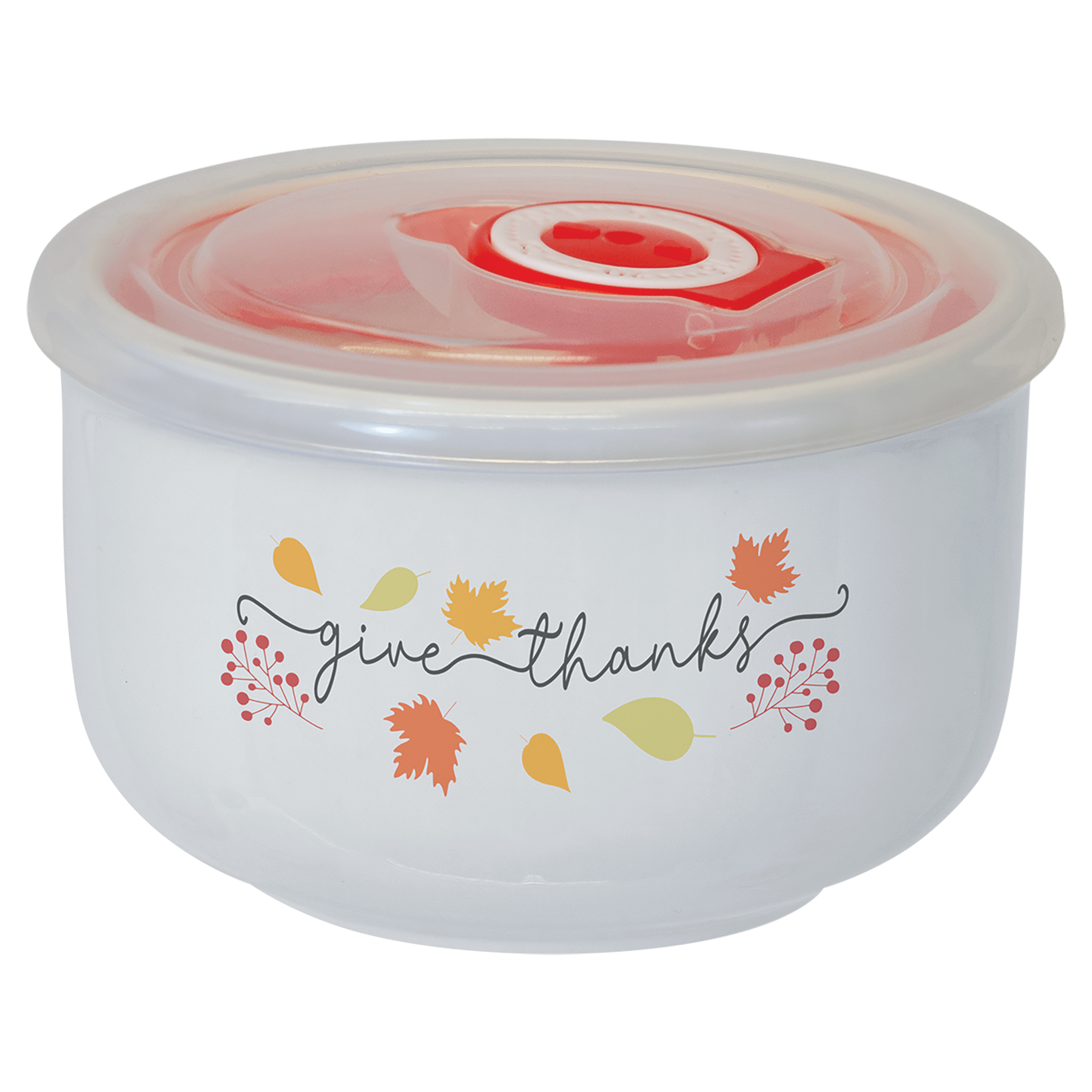 Ceramic Storage Bowl with Flexible Plastic Lid