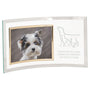 13" x 7.5" Jade Glass Crescent with 7" x 5" Picture Frame