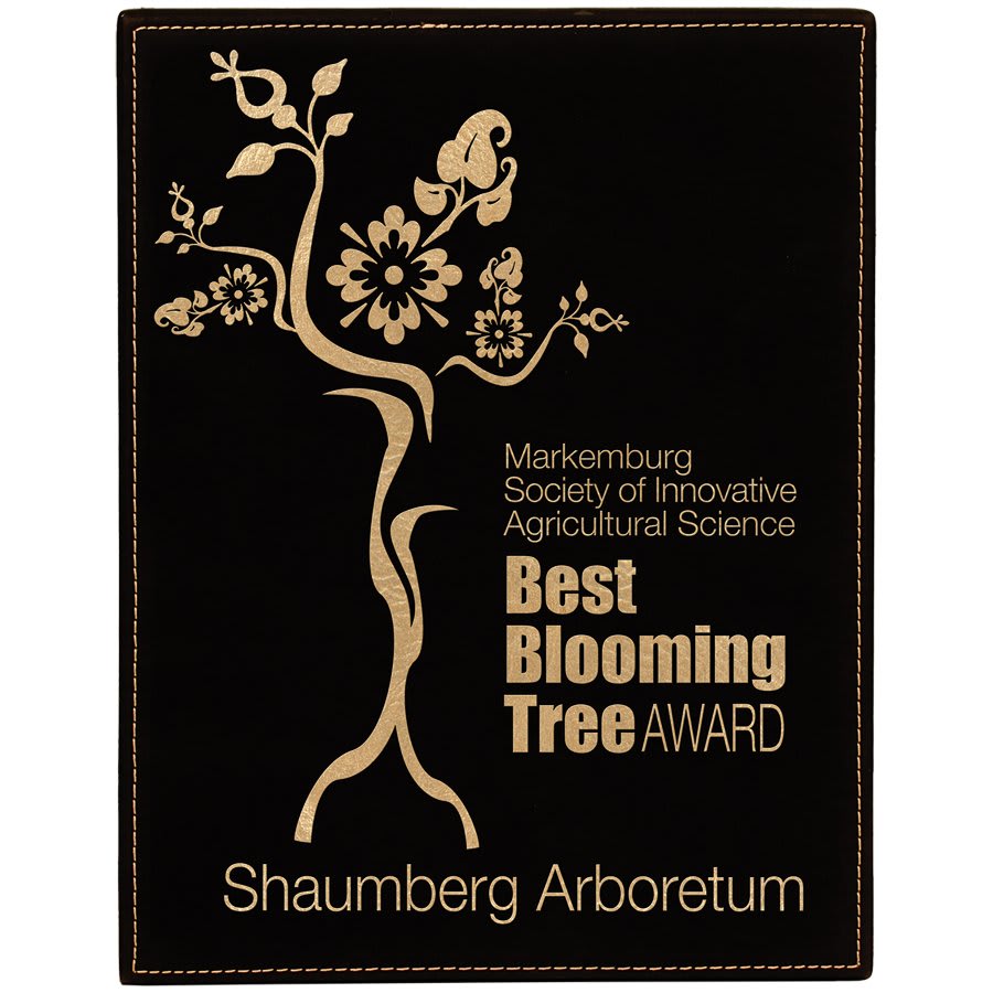 Leatherette Plaque - PL01