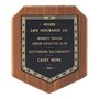 Black Gold Border Plate on an American Walnut Plaque
