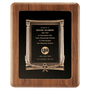 American Walnut Frame w/Black Back/Antique Bronze Cast Frame