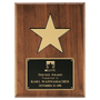 Gold Aluminum Star on a Solid Walnut Plaque w/Black Recess
