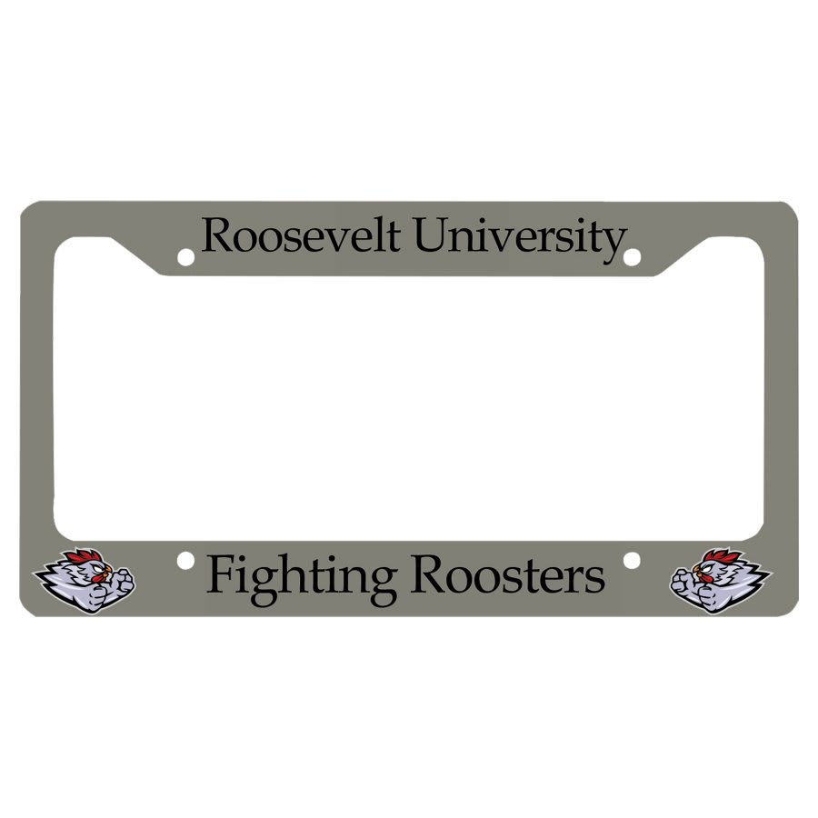Gloss Aluminum License Plate Frame - SV02