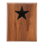 9x12 American Walnut Plaque With Star Recess